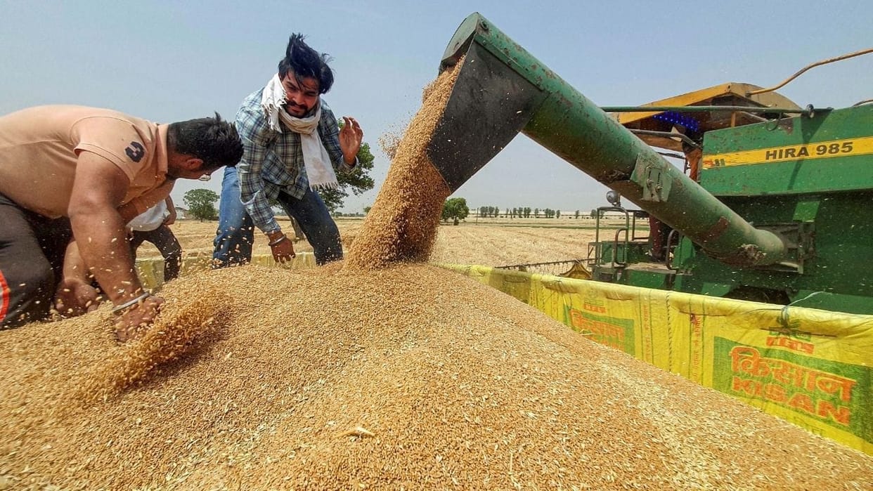 MP News: Unseasonal rain spoils the shine of wheat, government allays farmers' worries