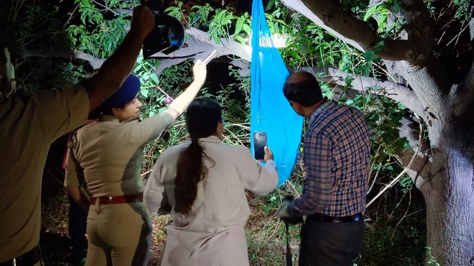 Girl found hanging from tree in Sector 20 of Panchkula