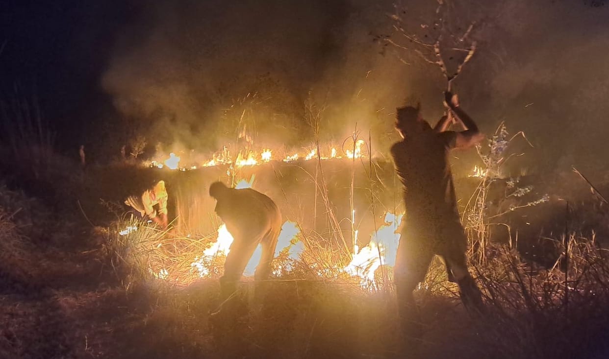 Nainital News: Forest fire reached near Gaula Barrage haldwani