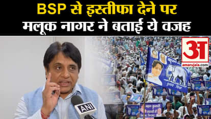 On resigning from BSP Maluk Nagar gave this reason