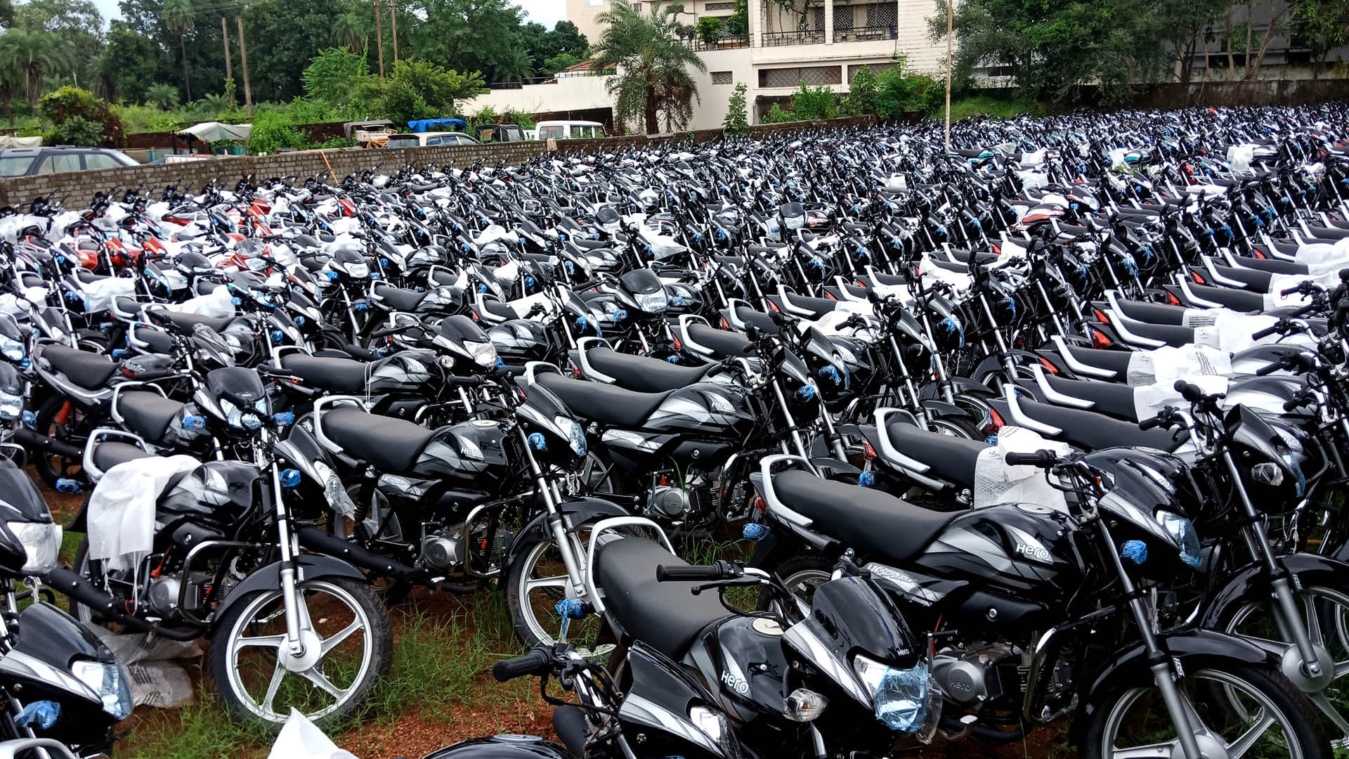 SIAM Auto Sales November 2024 Data car sales in november 2024