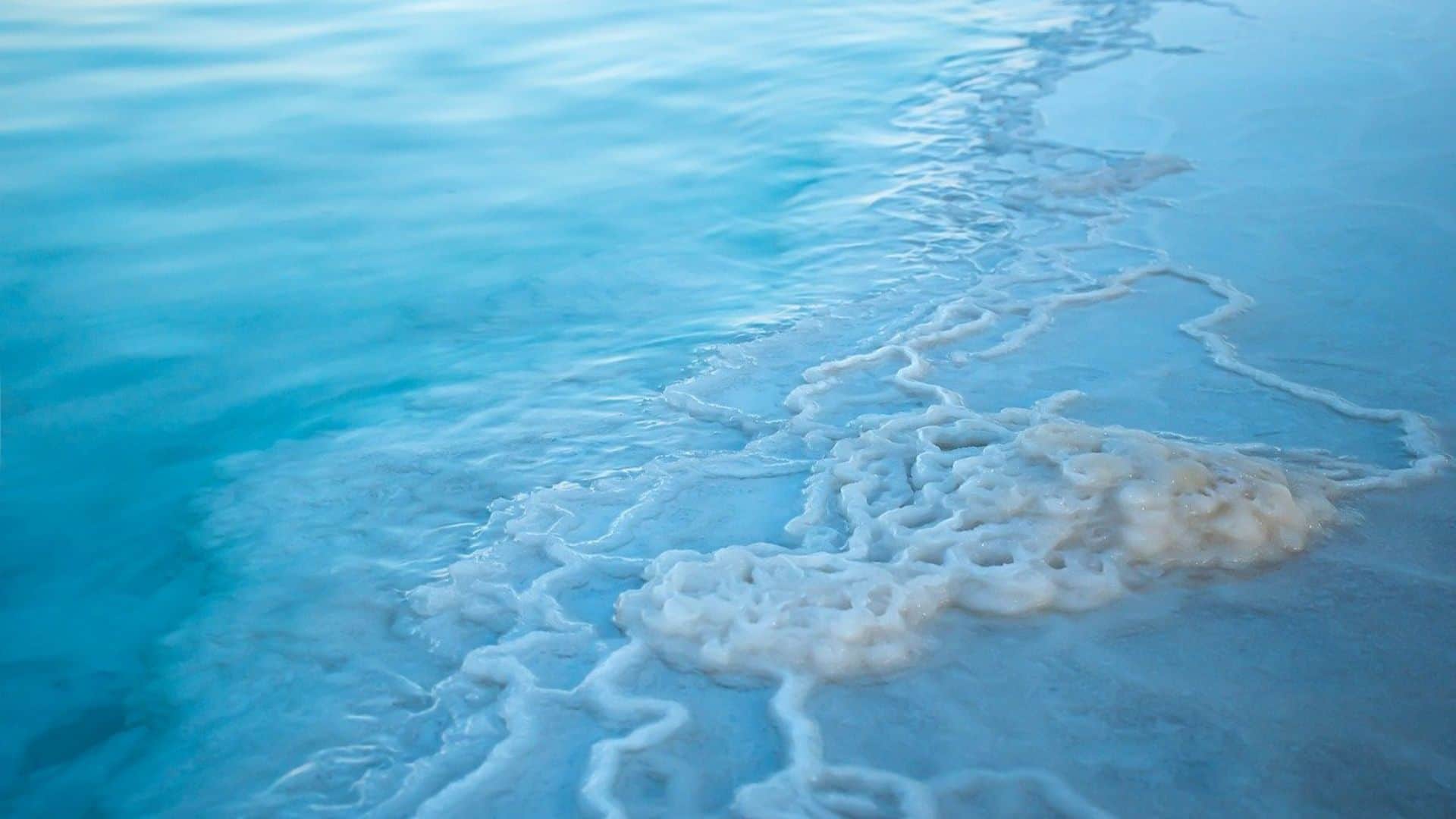 Dead sea facts in hindi ocean in which no one can drown know interesting facts
