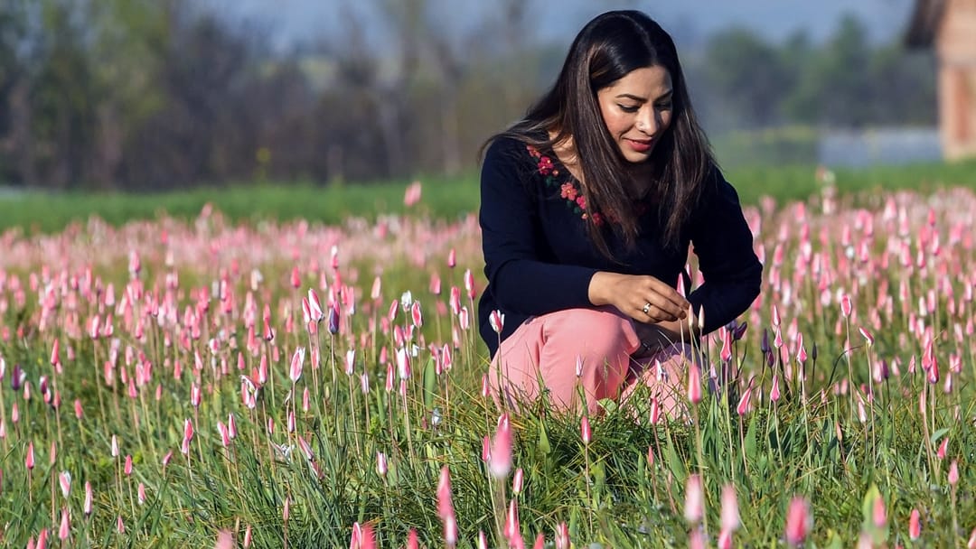 Tourism in Kashmir : Kashmir buzzing with tourists nearabout 90 percent hotels and houseboats book for next tw