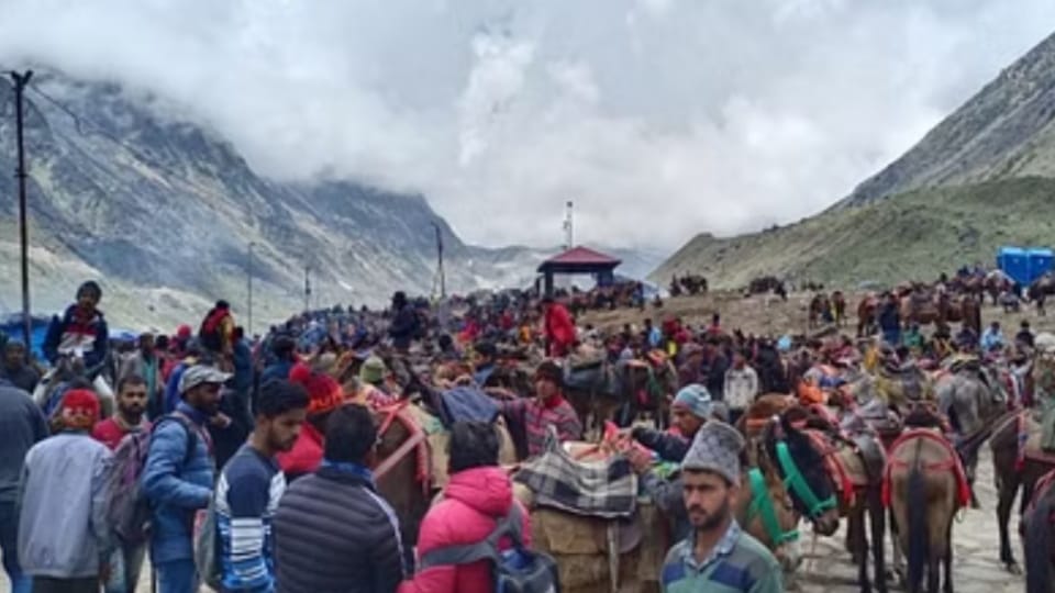 केदारनाथ यात्रा में घोड़ा खच्चर