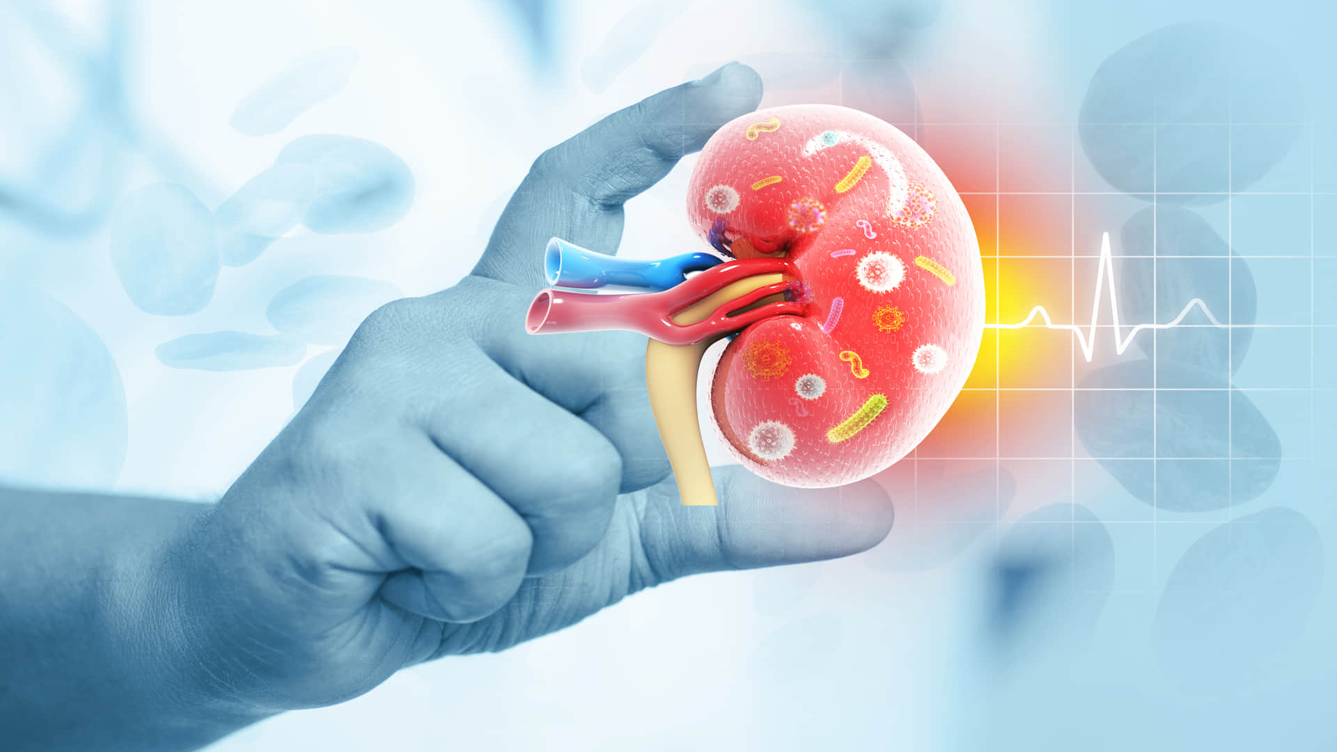 high blood pressure risk in india know how blood pressure affects overall health