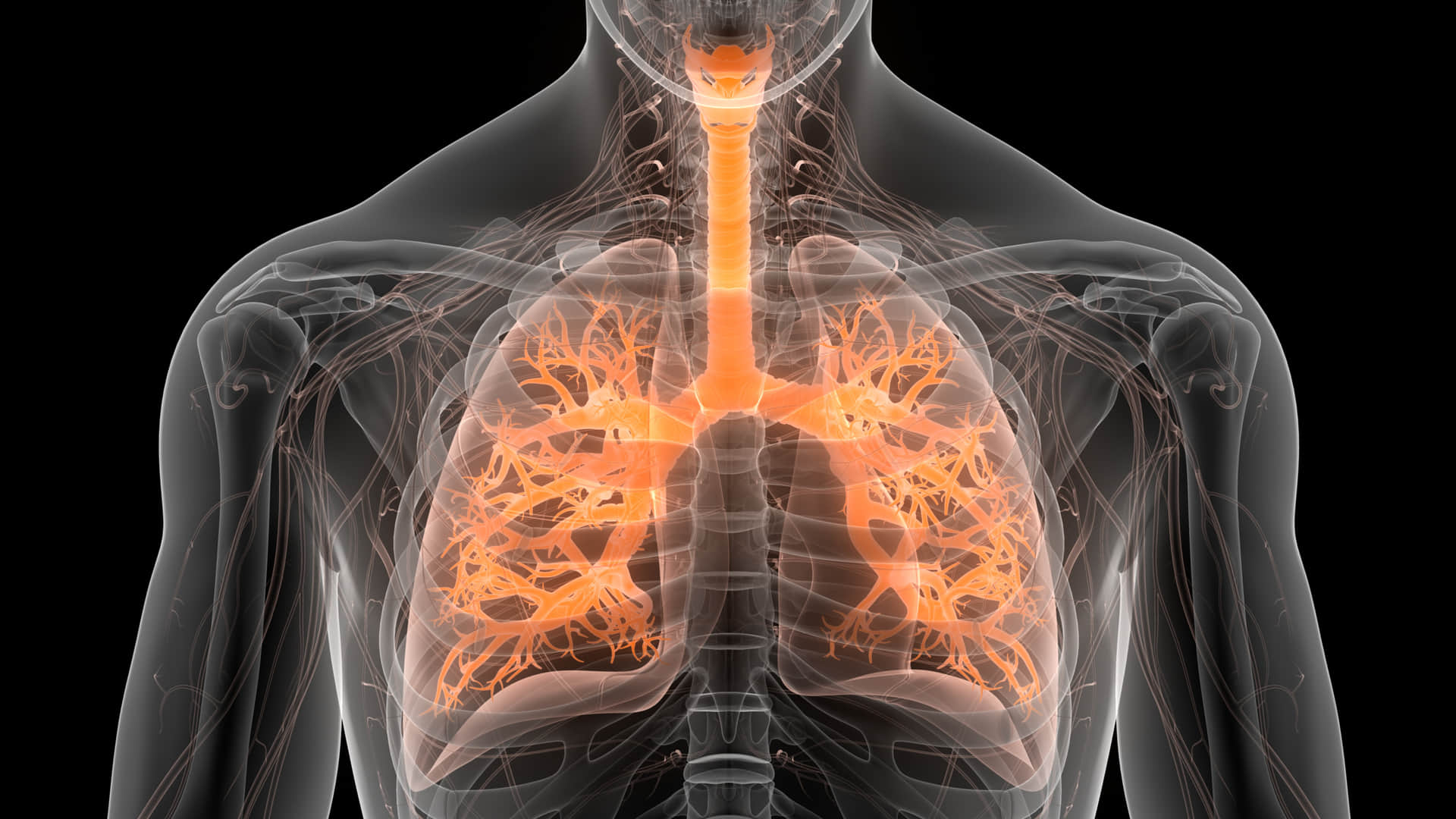 plan to end tuberculosis by 2025 study says Healthcare workers at higher risk of Tuberculosis