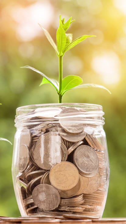 Mutual Fund