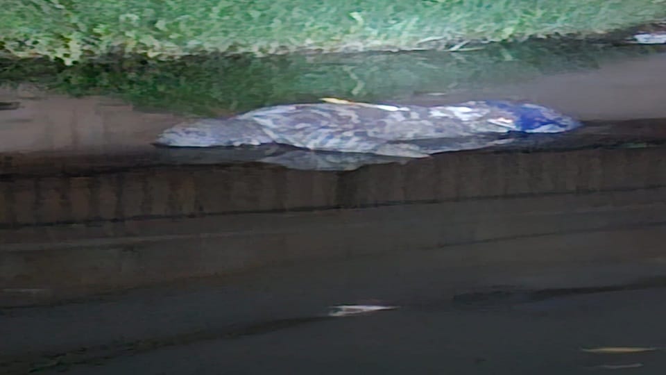 Dead body of young man found in qwarsi drain