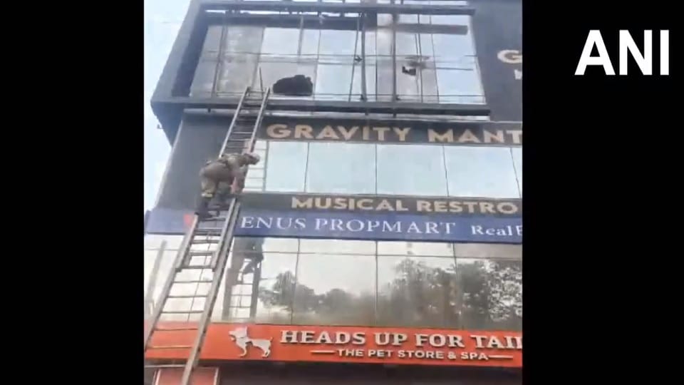 Fire breaks out in a shop in Sector 18