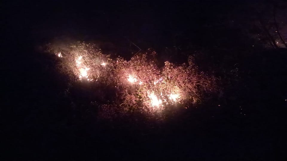 Uttarakhand Fire News: Forest fire in Pithoragarh