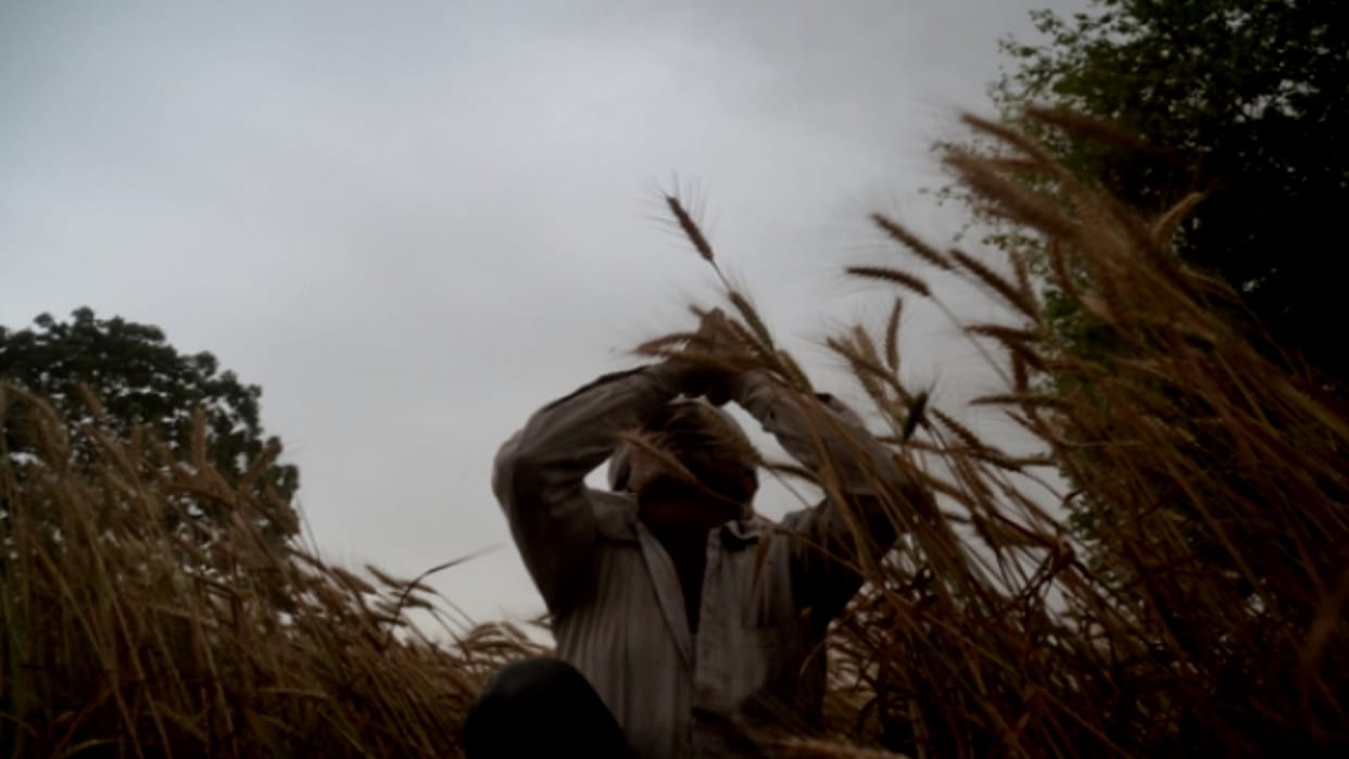 Weather changed in Western UP, farmers gets worried due to drizzle