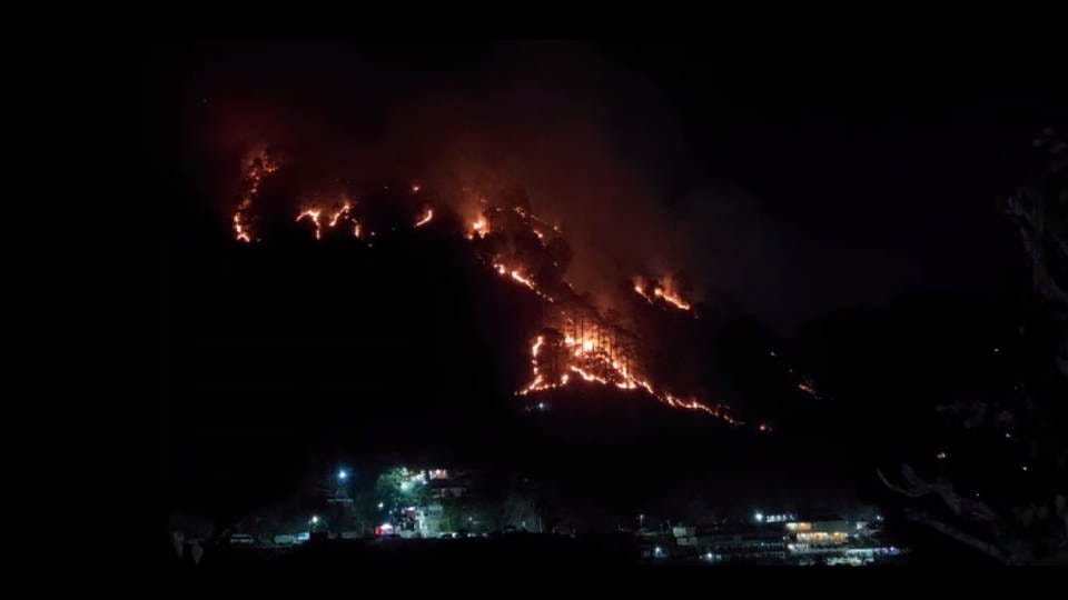 Uttarakhand Forest burning throughout night in upper area of Badrinath Highway