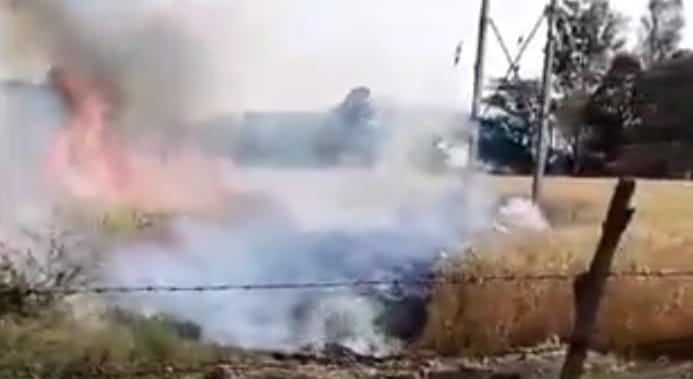 Six bighas of crop turned into ashes due to spark from high tension line, victim said there was a loss of more