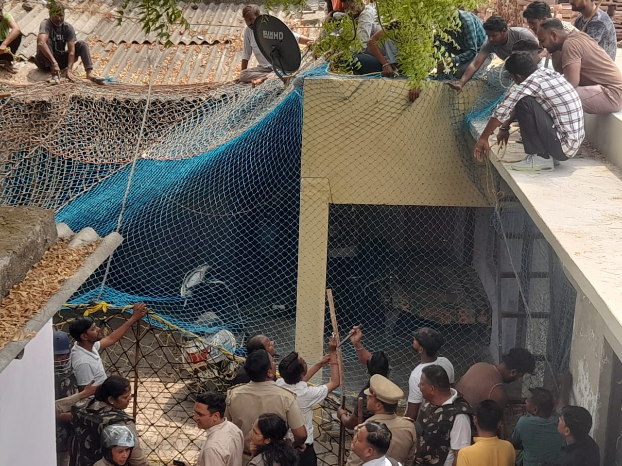 Leopard caught after thirteen hours in Meerut, schools closed, youth injured