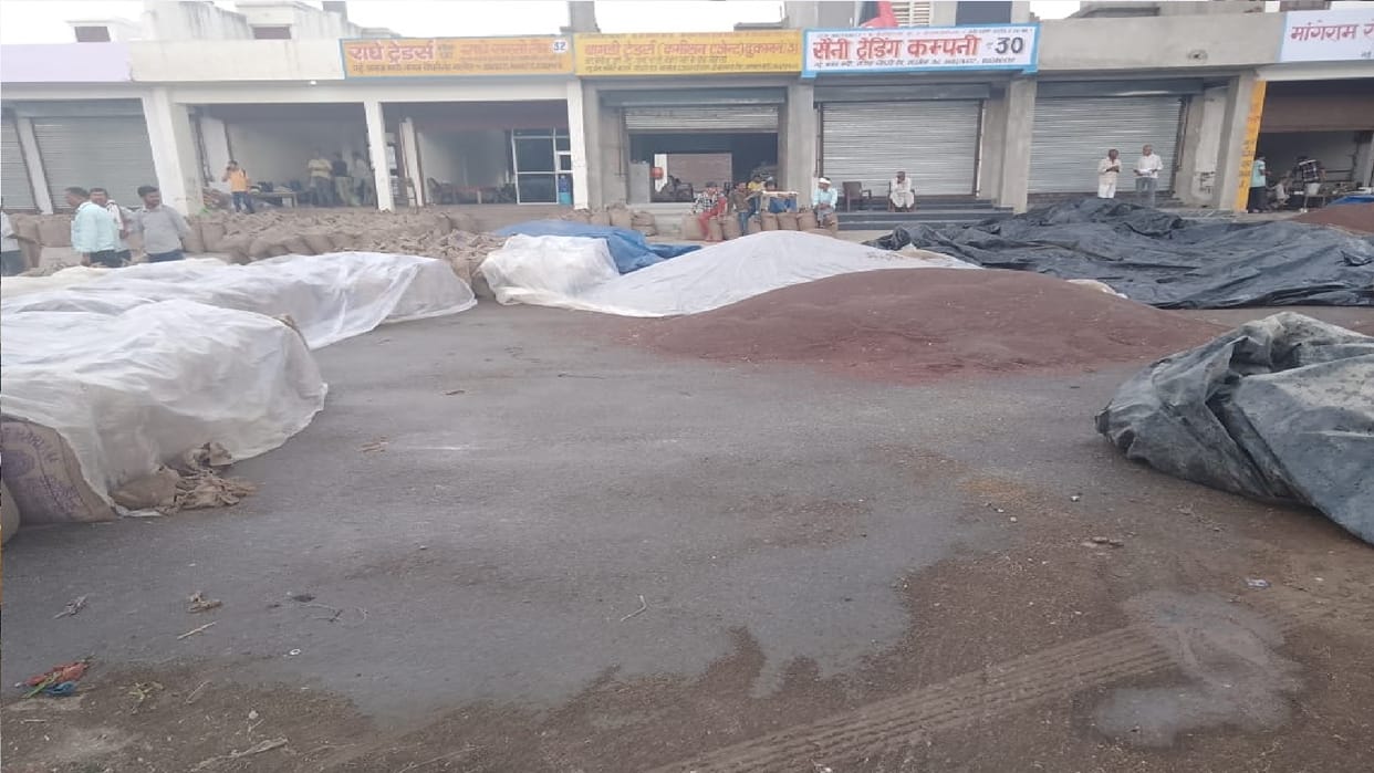 Rain in Narnaul, Mustard lying in the open in the markets got wet, farmers' worries increased; Western disturb