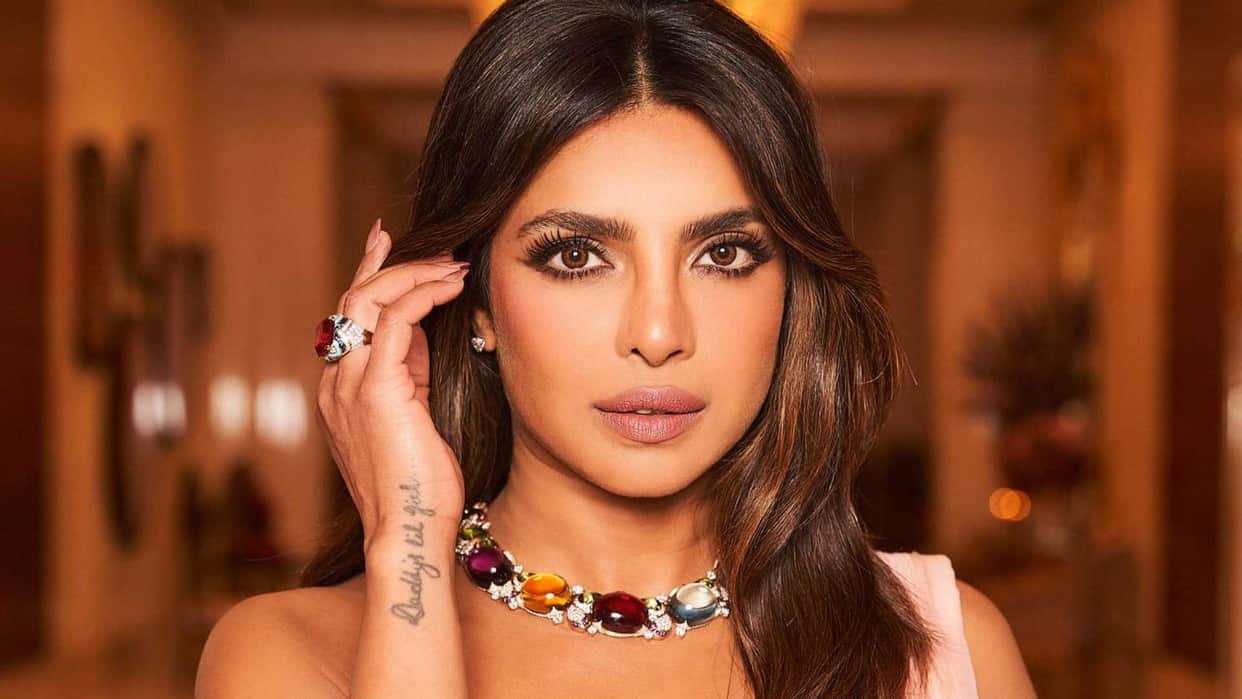 Priyanka Chopra used Stunt Double for Movie The Bluff Says I am not a hero