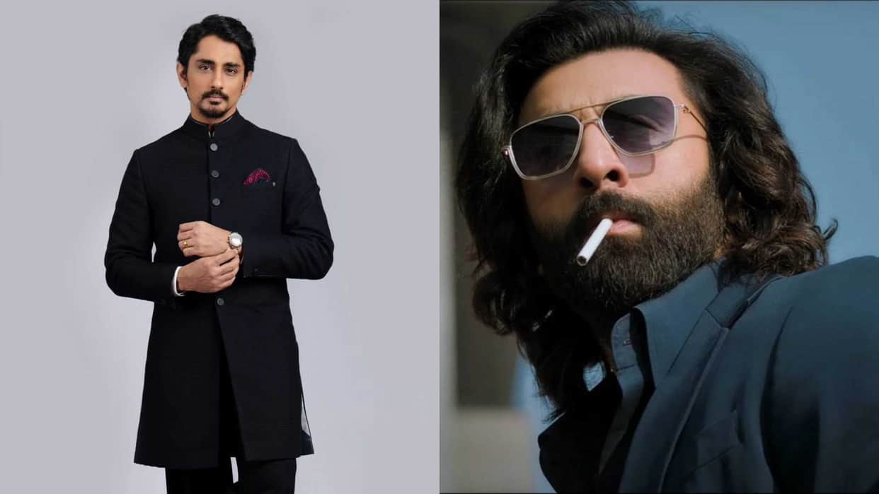 Siddharth takes a dig at critics who call Chithha disturbing slams ranbir kapoor sandeep reddy vanga animal