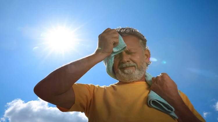 Heat wave: यूपी में तीन दिन रहेगी हीट वेव, जिलों के अधिकारी रहें सतर्क