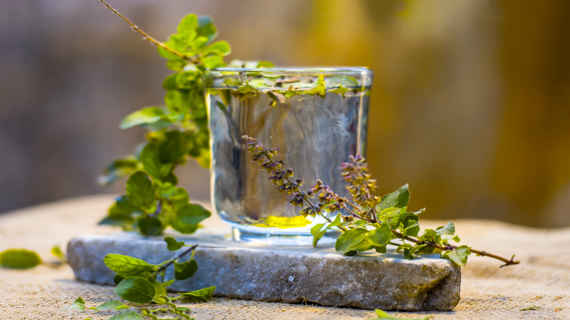 Health Benefits of Tulsi Plant how tulsi helps in blood pressure and sugar control