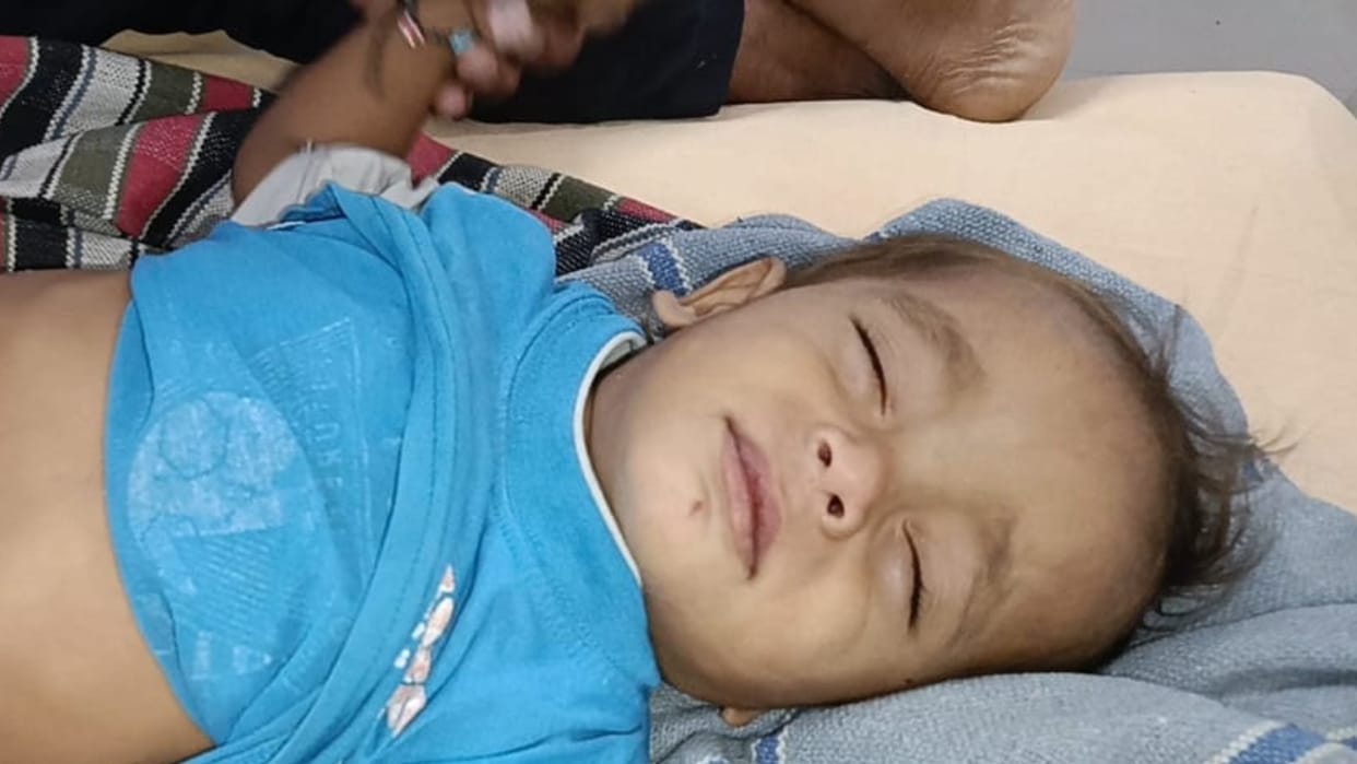 Stray dogs attacked two year old child in Bareilly