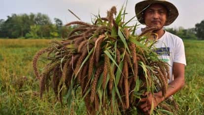 किसानों के लिए भाजपा के घोषणापत्र के एलान