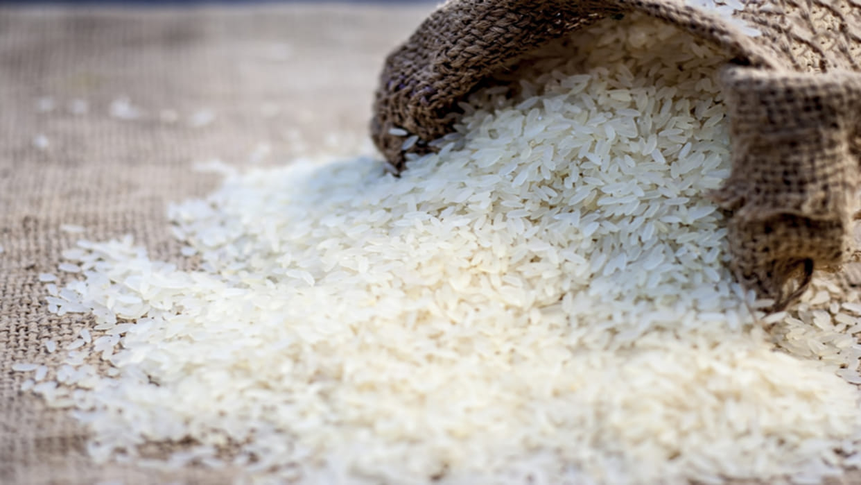 27% US tariff on Basmati blow to Punjab farmers Pakistan may benefit