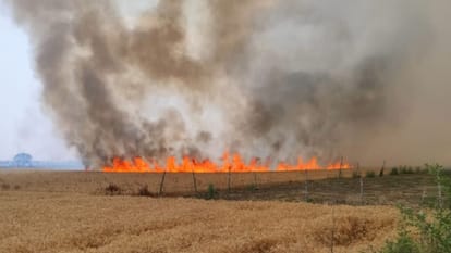 twenty eight and half acres of wheat crop burnt in chandauli