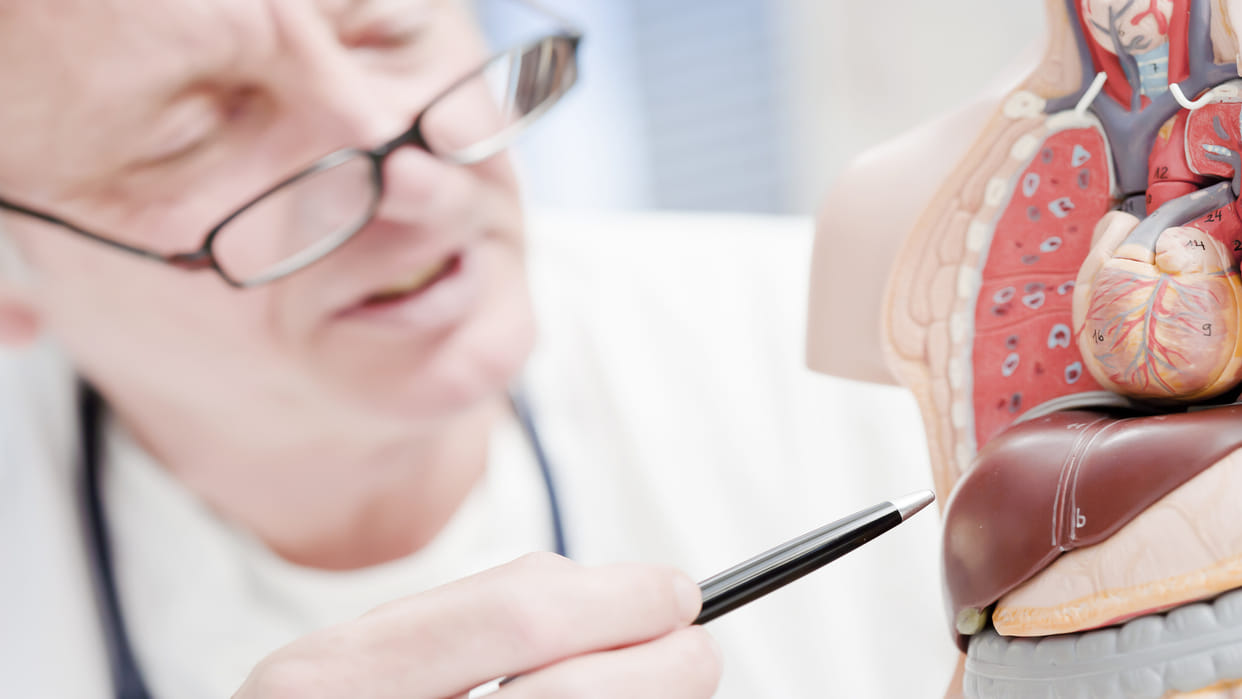 Microplastics affecting the digestive system, reaching the brain: study