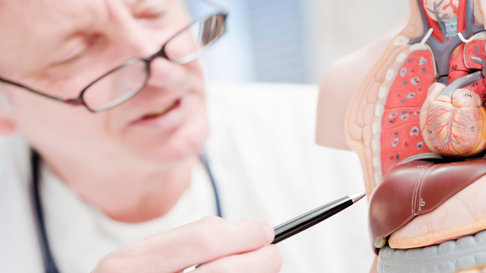 world liver day 2024 what causes liver cancer know its symptoms and treatment