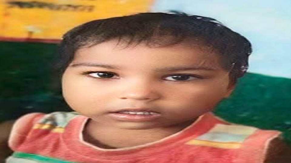 Girl traveling with grandmother crushed by truck, dies
