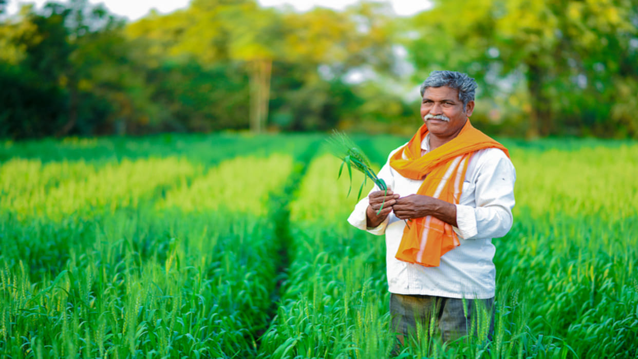 How To Check Status Of PM Kisan Samman Nidhi Yojana Know Complete Process Here
