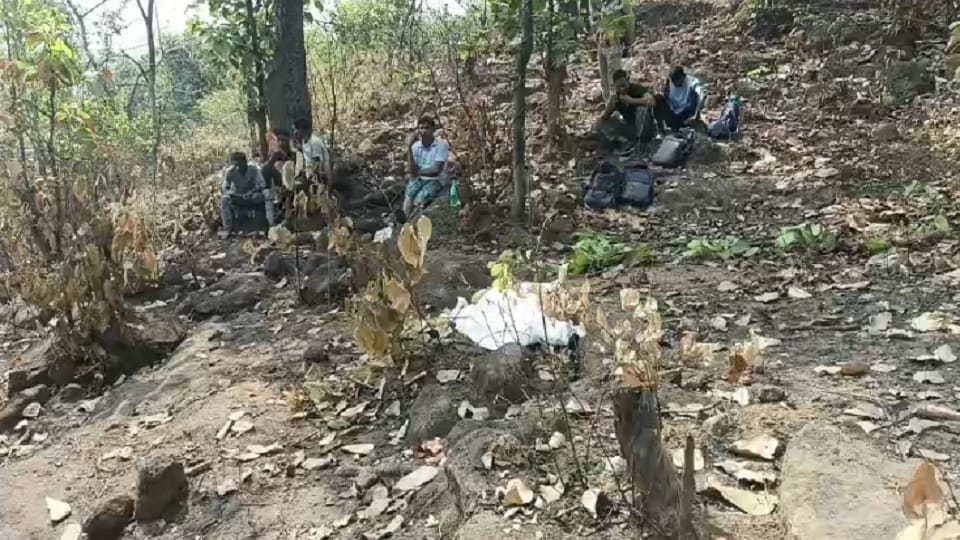 Elephant attacked elderly woman and killed her