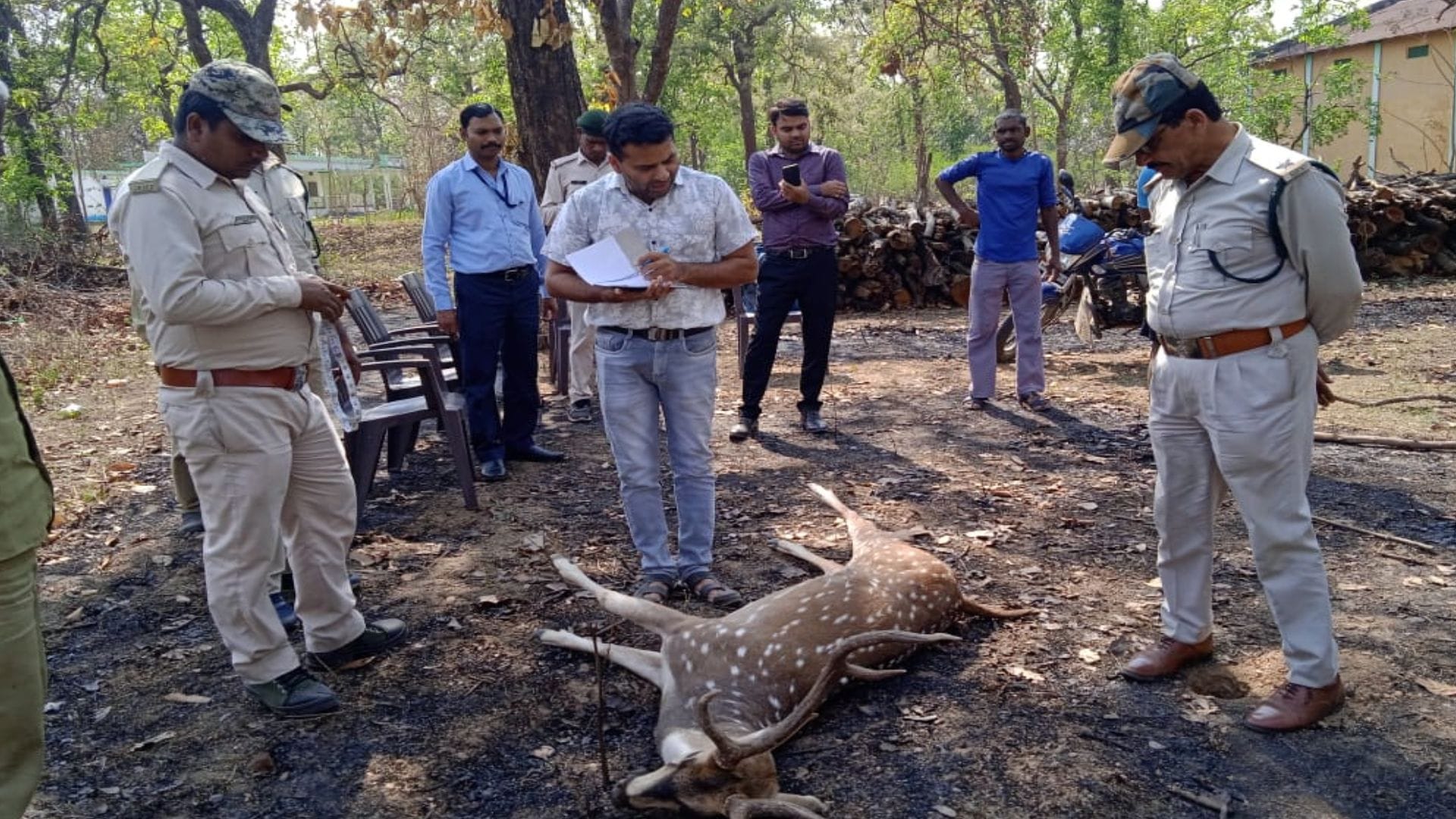 घायल चीतल की मौत