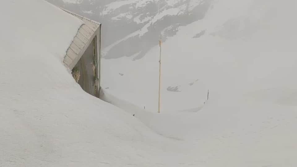 Hemkund Sahib Yatra 2024 Covered With Soldier Leaves for removing Approx 10 feet snow
