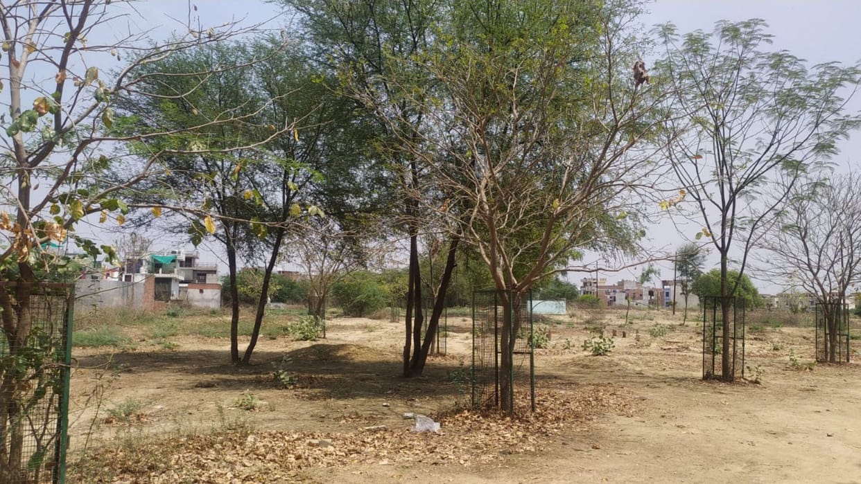 Demand to clear the way to the graveyard from the Chief Minister