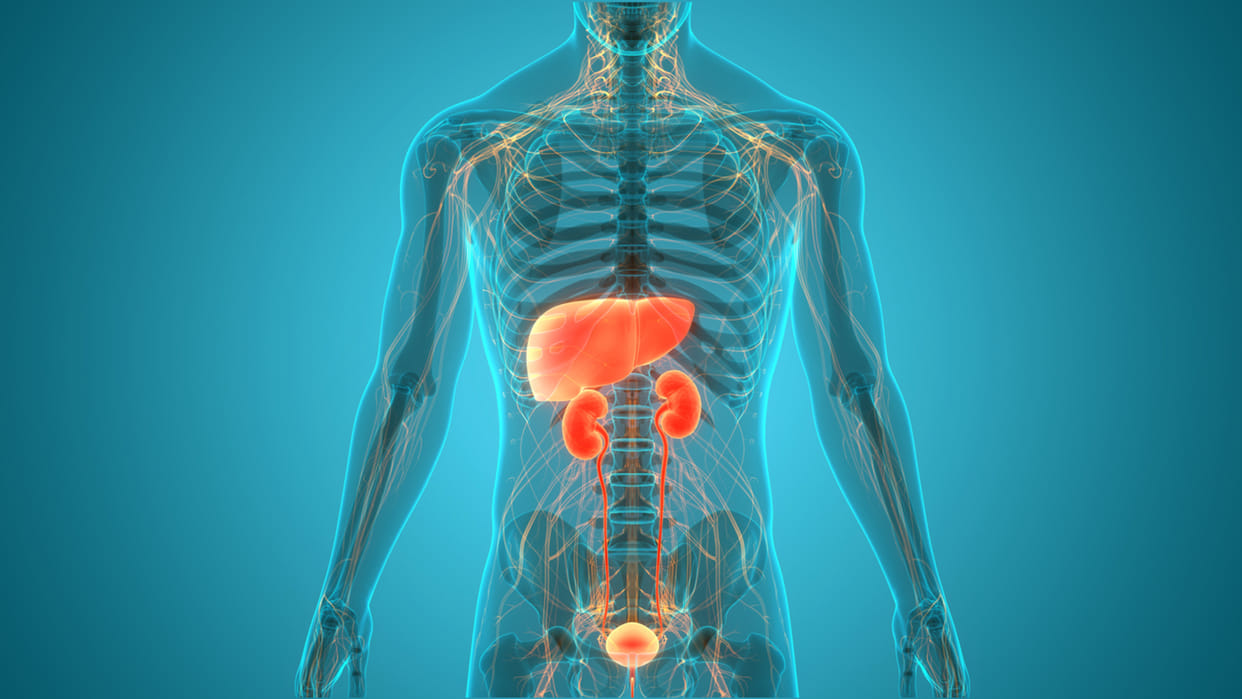 Not only alcohol bad lifestyle and medicines also making liver sick