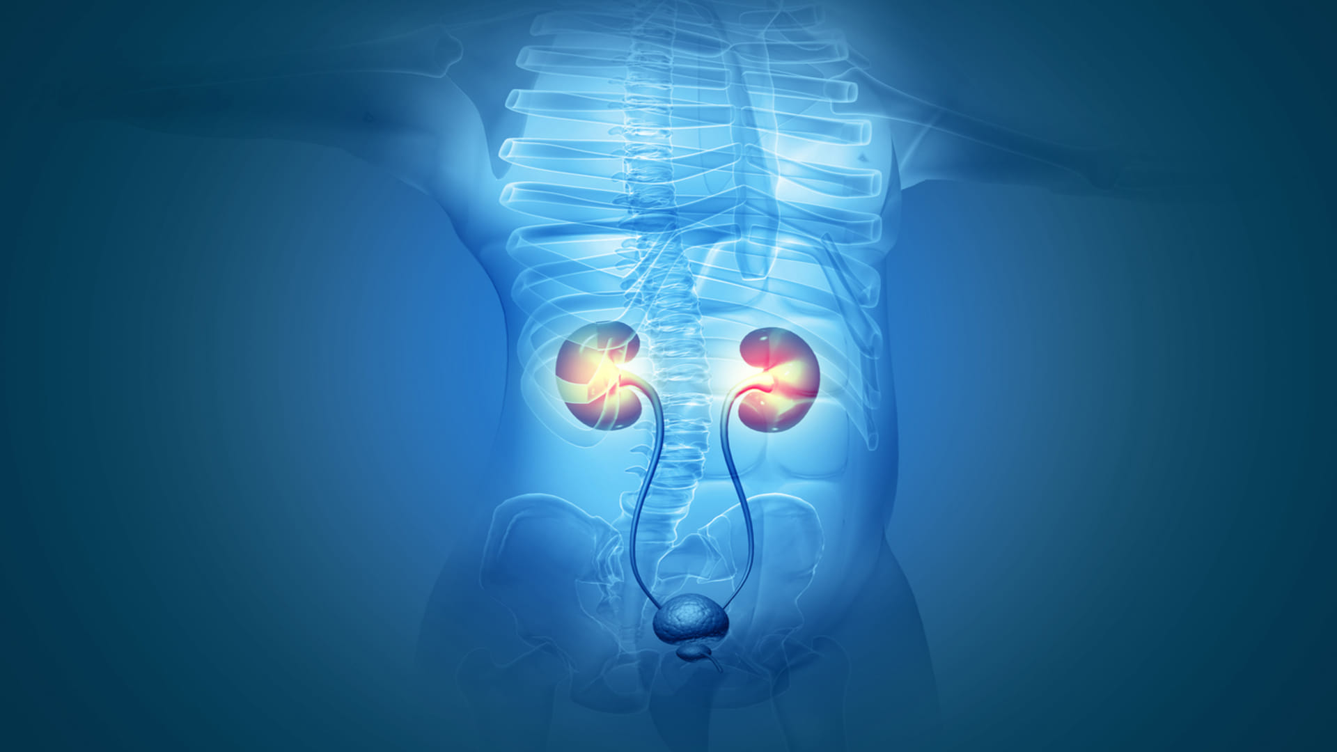 kidney cancer risk in young adults in india know its causes in hindi