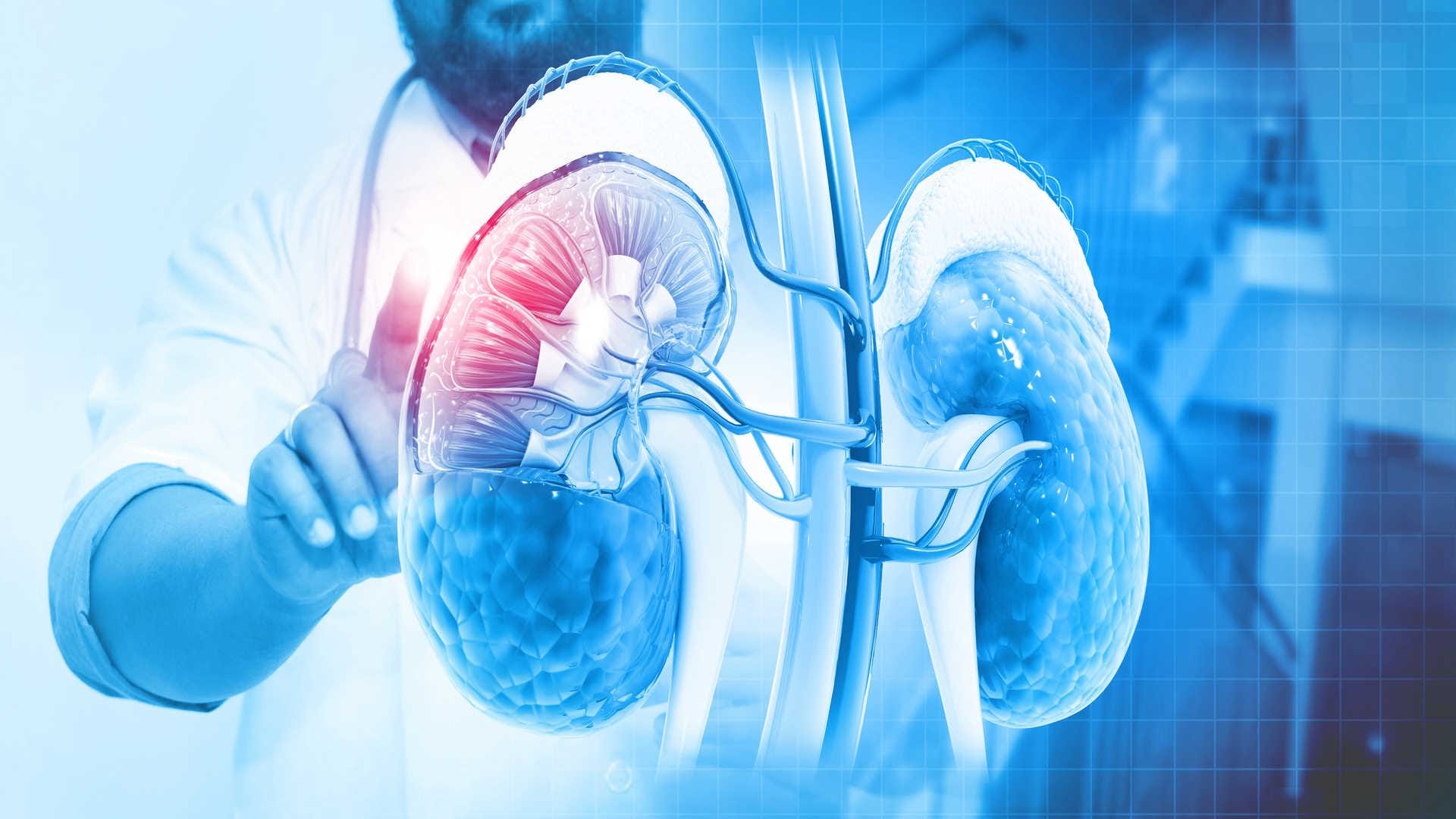 early stages of kidney damage symptoms know kidney ki problem ke lakshan in hindi