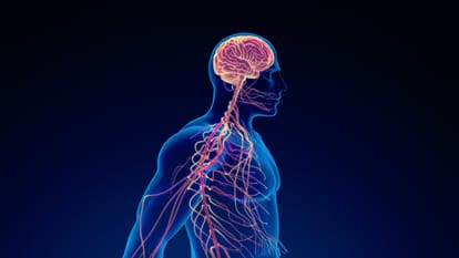 guillain barre syndrome in Maharashtra know GBS Symptoms Causes and complications