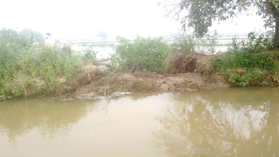Rajwaha track cut, hundreds of bighas of crops filled with water