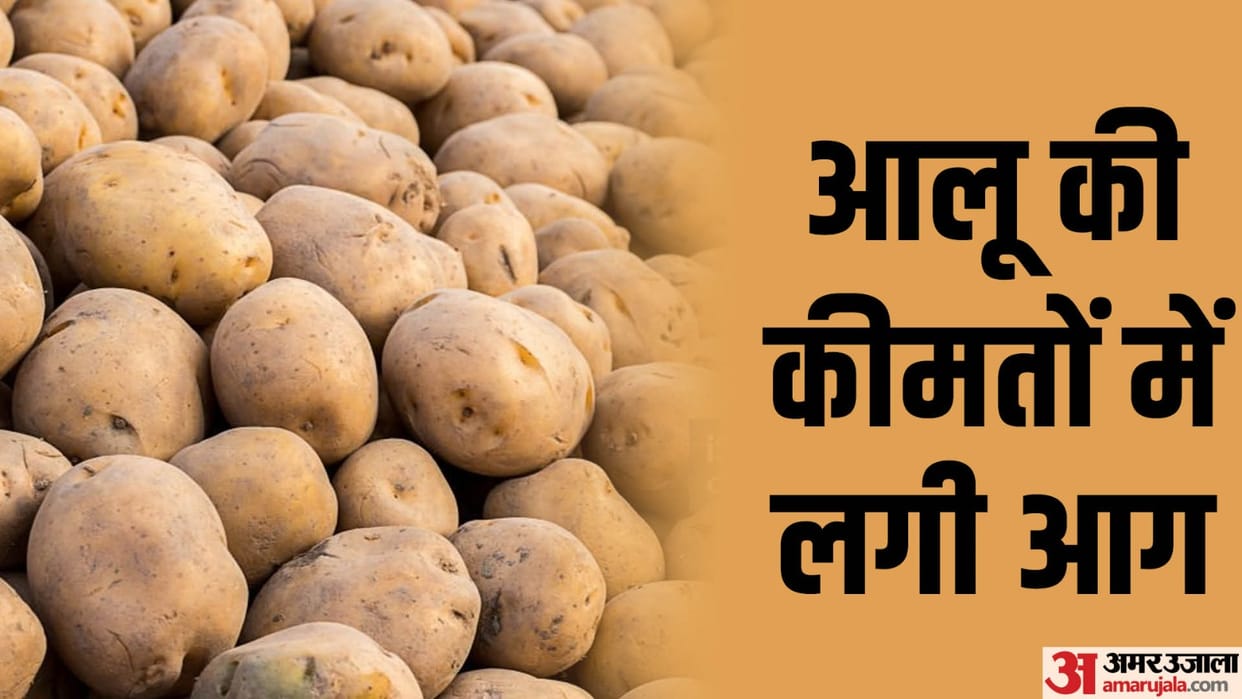 Potato price increased by Rs 12 as soon as it came out of cold storage, crowd of buyers gathered.