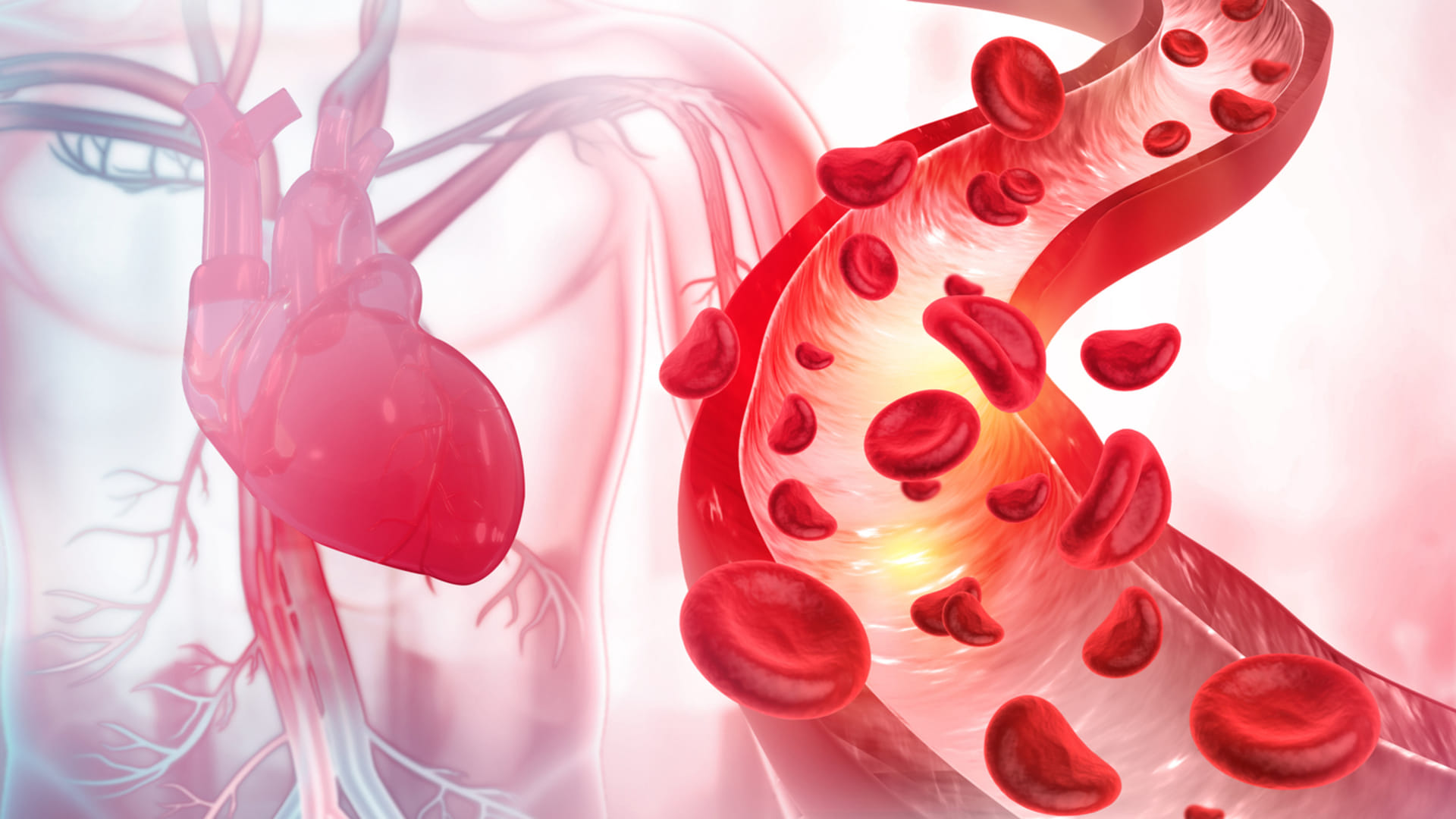 how to keep arteries clean garlic good for blood circulation and blood pressure