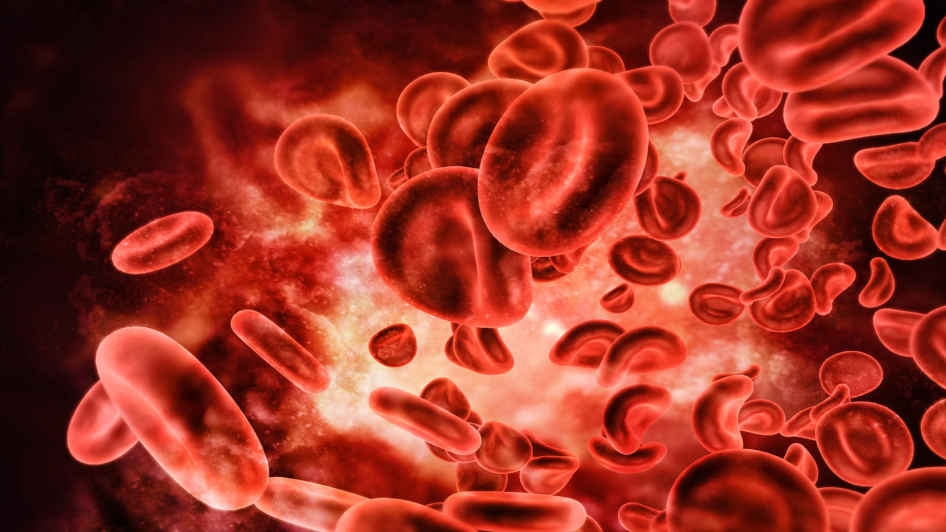 dengue news update in india Low Platelet Count In Dengue Patients tips to increase