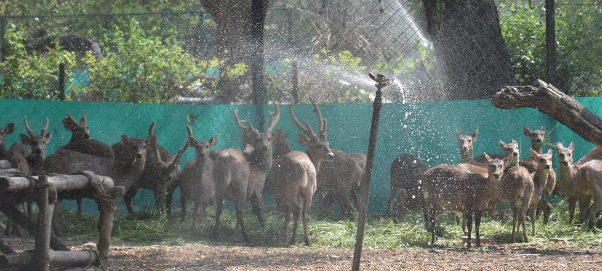 Kanpur Weather, This time heat wave will last till July, summer time will be longer, temperature will be 39 de