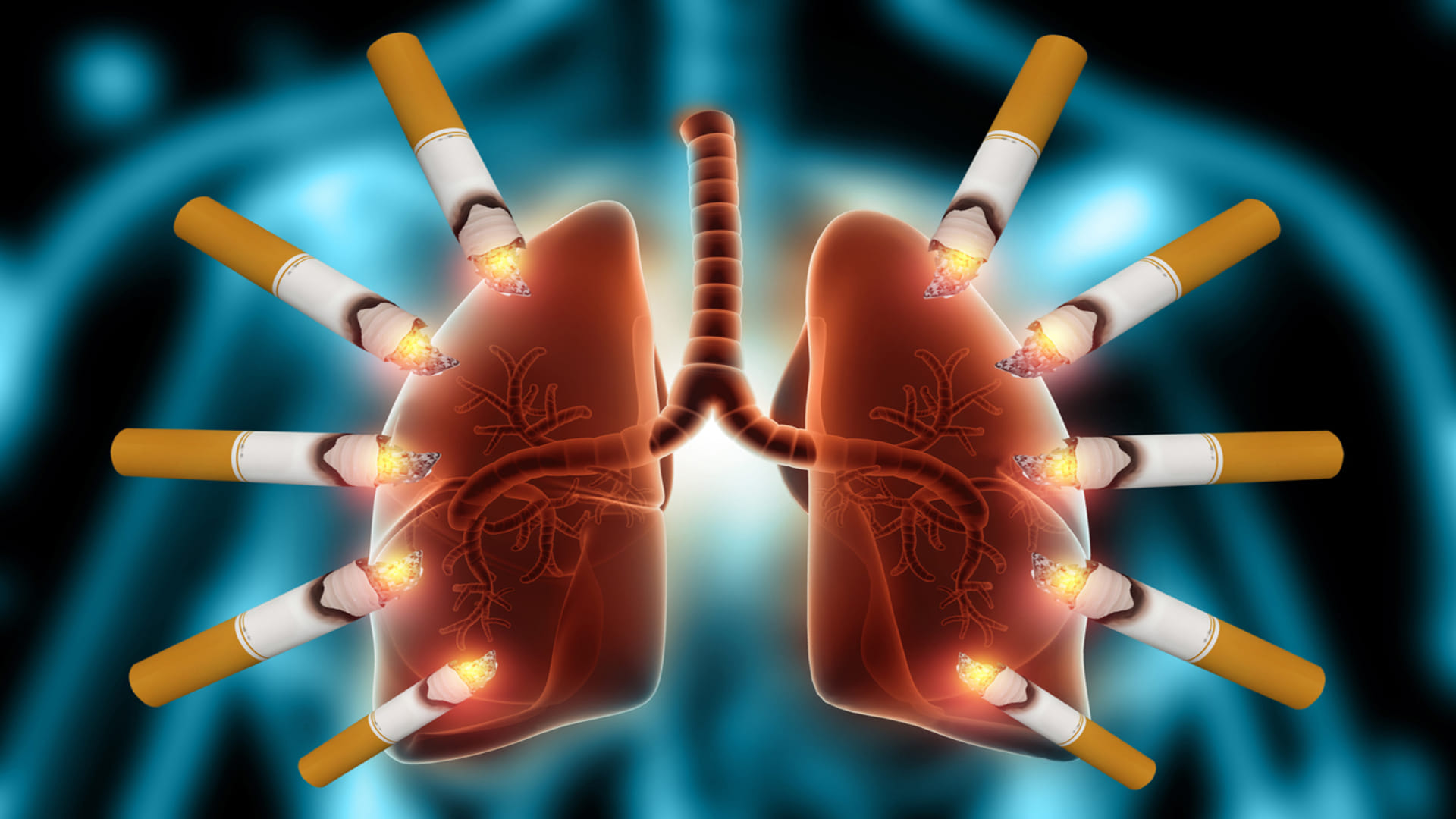 world lung day 2024 What causes lung cancer know its symptoms and prevention tips