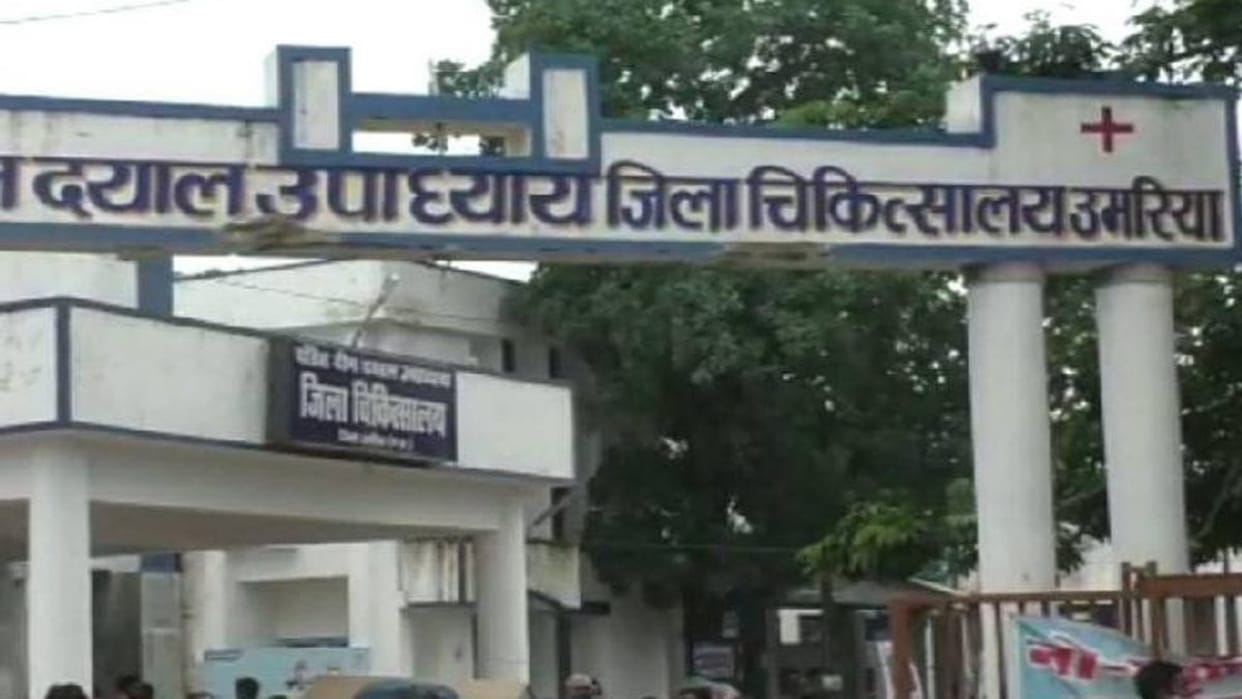 Leptospirosis Disease Number of patients spread by rats in Umaria reaches 133