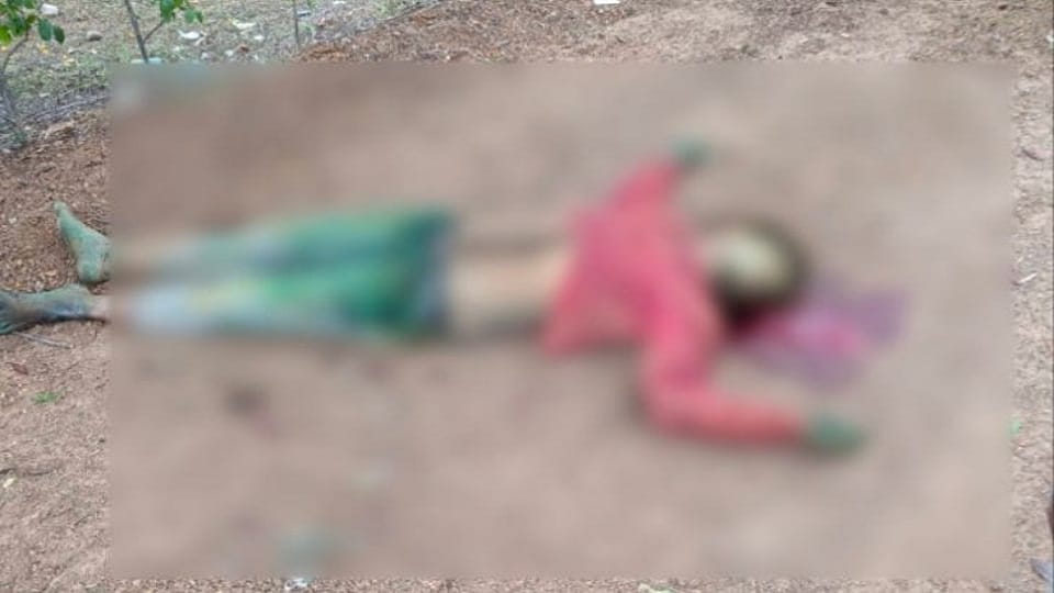 सड़क हादसे में युवक की मौत