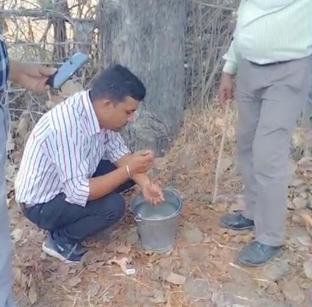 Bomb blast in Beohari, jaws of cattle blown to pieces, bomb disposal squad reached from Shahdol