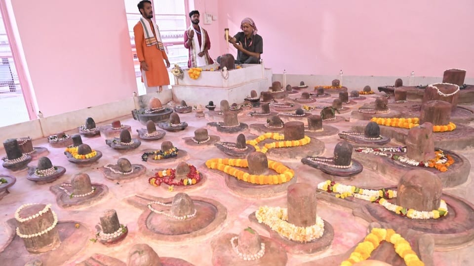 Special ritual on Saptami of Chaitra Navratri in Kashi Vishwanath Dham