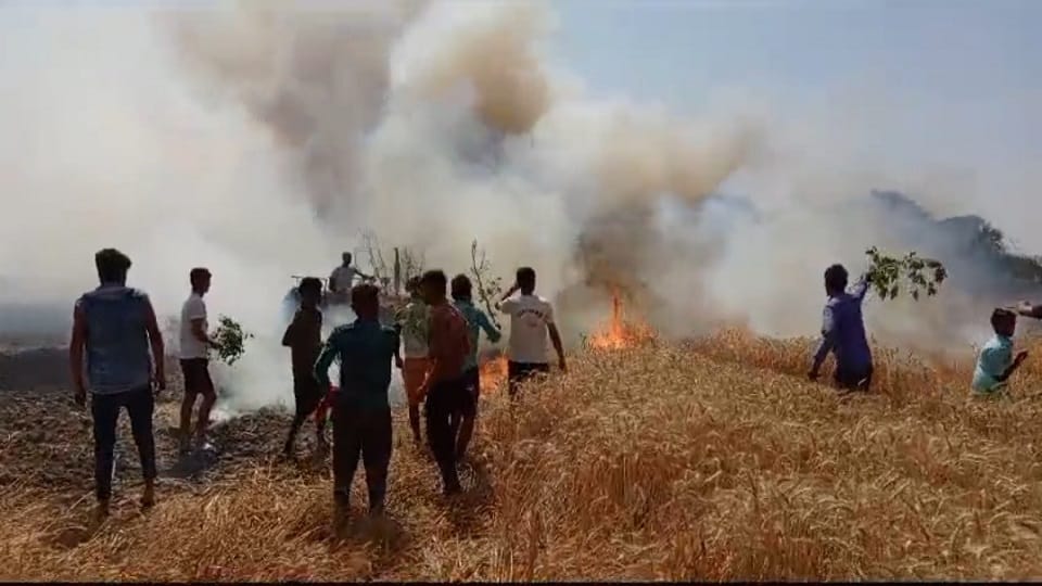 Crops burnt due to spark from wires, two farmers burnt
